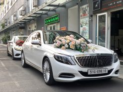 XE HOA MERCEDES
