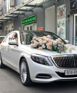 XE HOA MERCEDES
