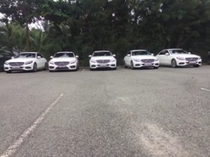 Mecedes Carvip