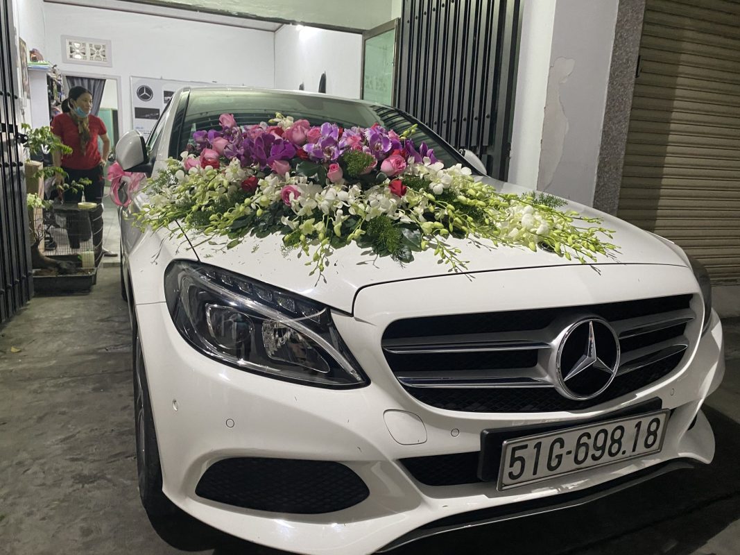 CARVIP