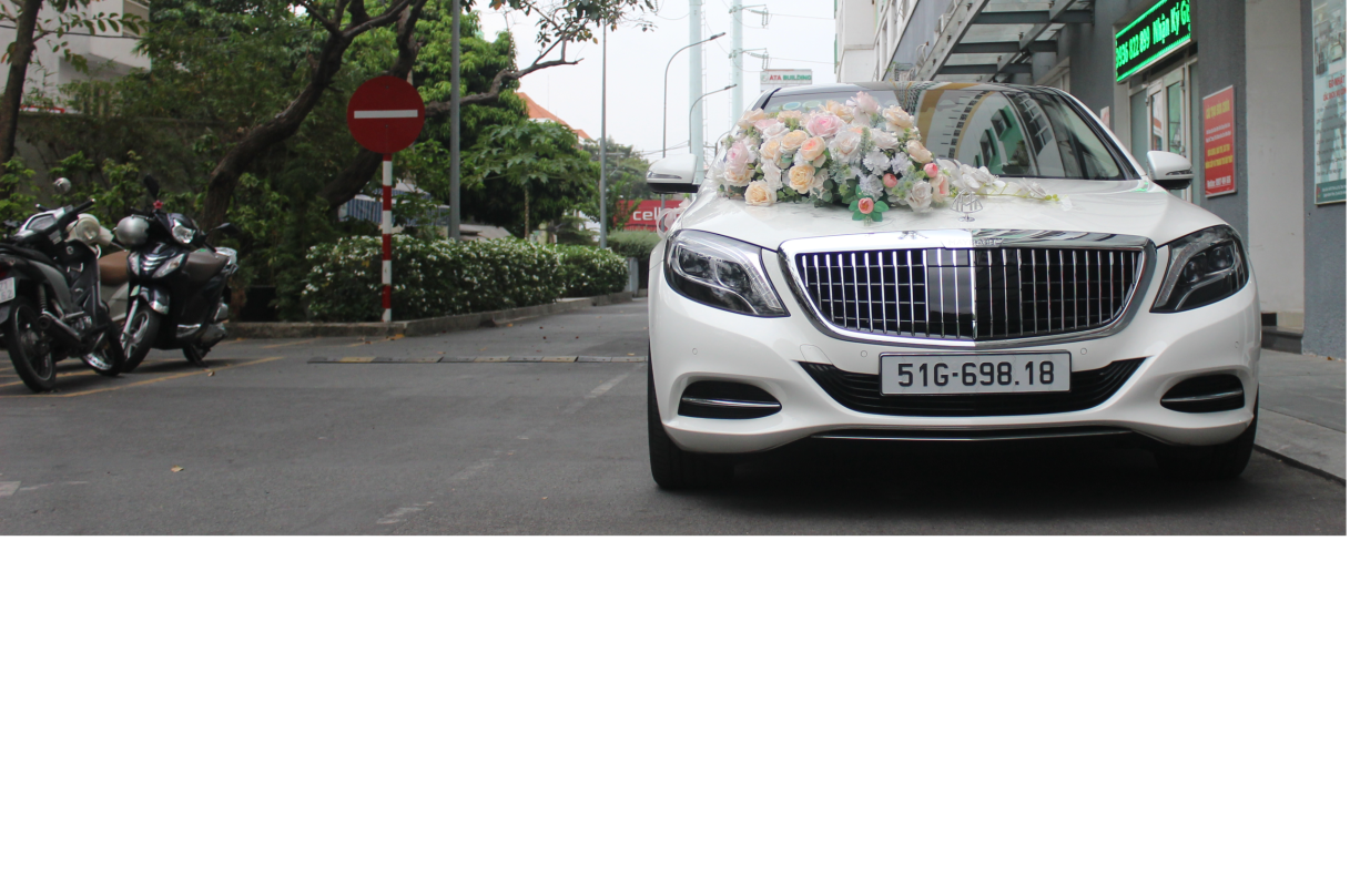 CARVIP