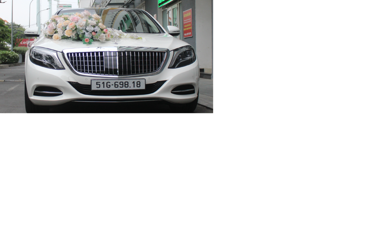 CARVIP