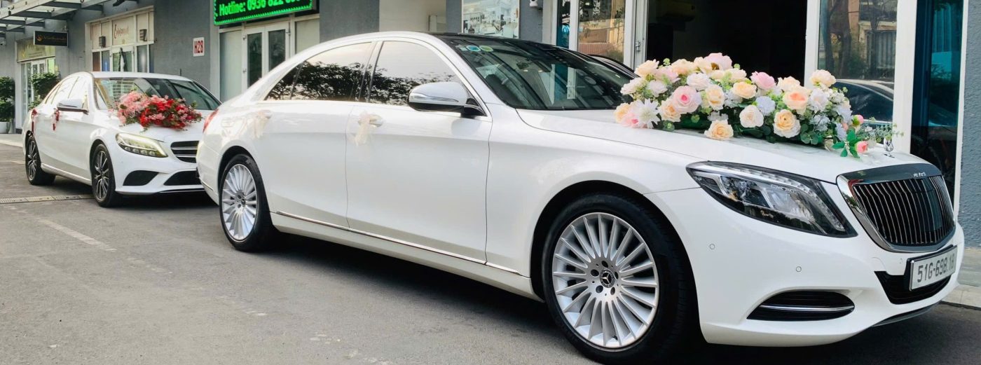 CARVIP