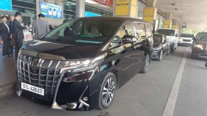 CARVIP