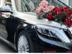 HÌNH ẢNH XE HOA - XE CƯỚI MERCEDES ☞☞