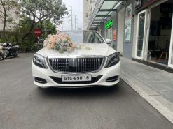 Xe Hoa MERCEDES S450 bấm vào nút đặt xem chi tiết giá